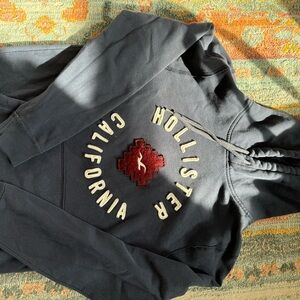HOLLISTER MEDIUM HOODIE